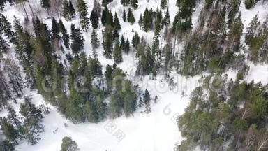 冬天在<strong>森林</strong>里迷路的人的俯视图。 录像。 一群活跃的游客在<strong>茂密</strong>的针叶林中迷路了